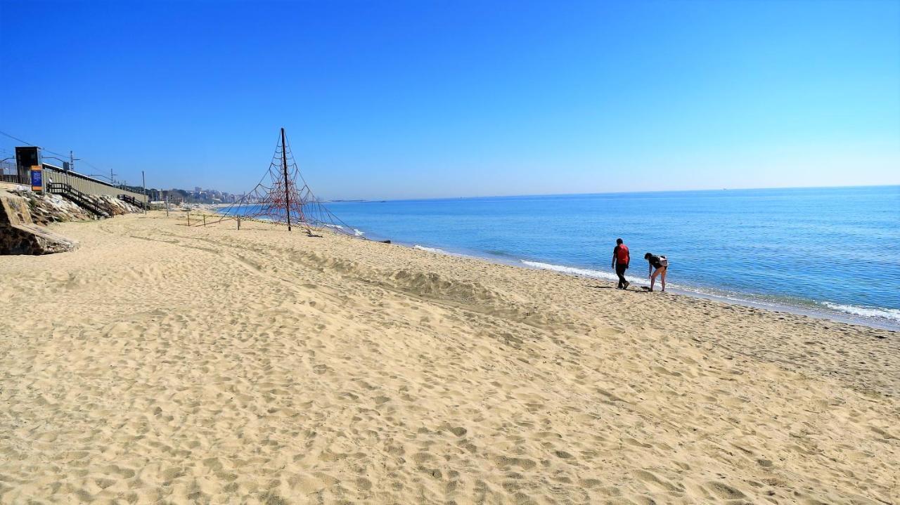 Claire Seaview & Beach-Apartment มอนท์กัต ภายนอก รูปภาพ